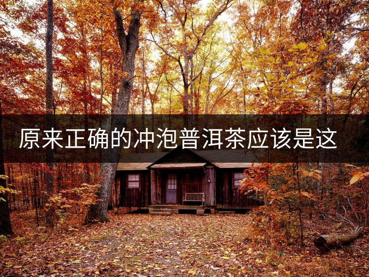 原來正確的沖泡普洱茶應(yīng)該是這樣的