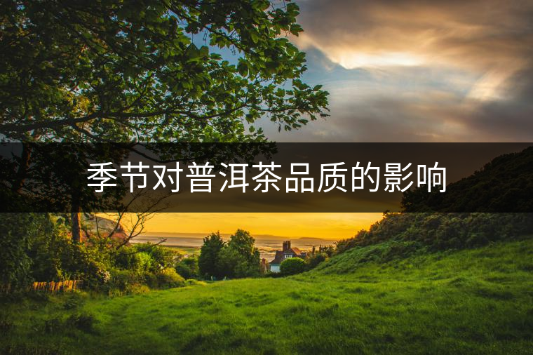 季節(jié)對普洱茶品質(zhì)的影響