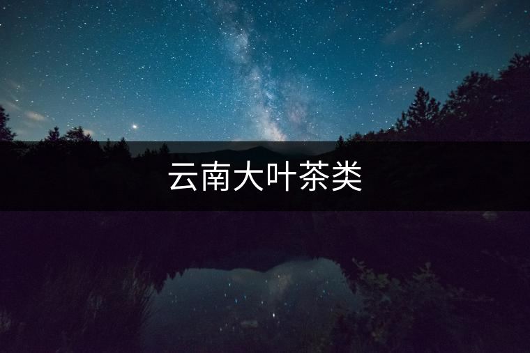 云南大葉茶類 云南大葉茶類