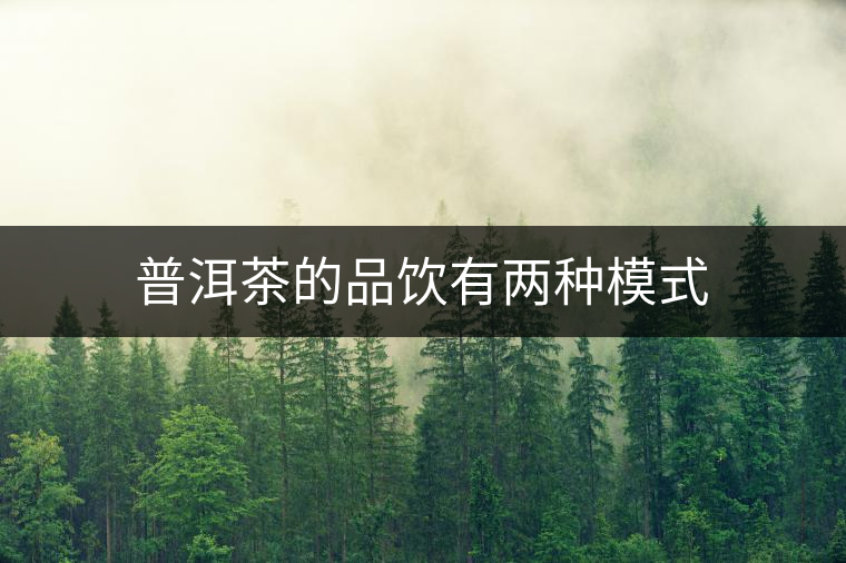 普洱茶的品飲有兩種模式 普洱茶的品飲有兩種模式