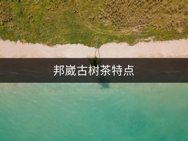邦崴古樹茶特點 邦崴古樹茶特點
