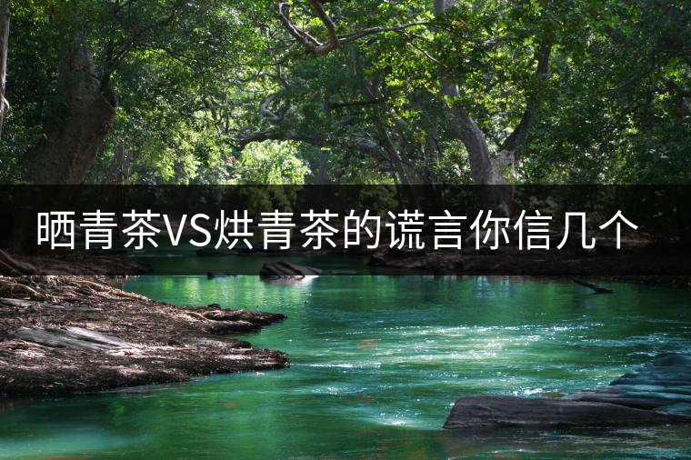 曬青茶VS烘青茶的謊言你信幾個？