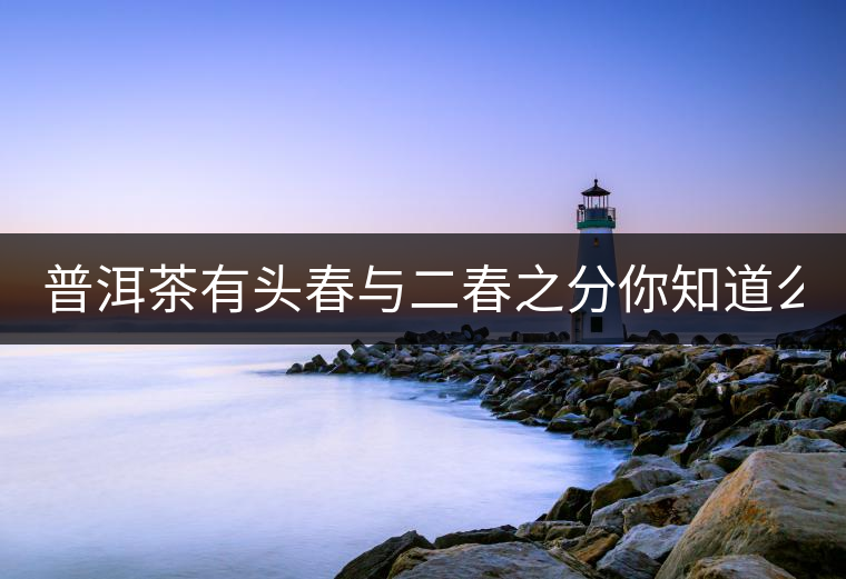 普洱茶有頭春與二春之分你知道么？