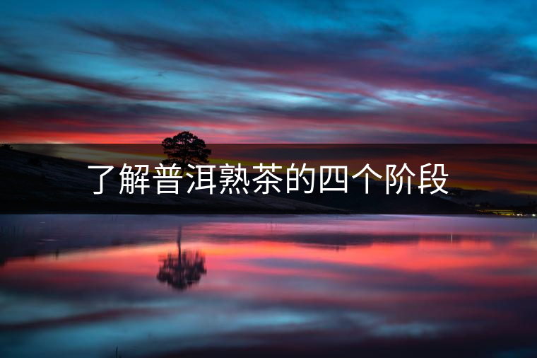 了解普洱熟茶的四個階段