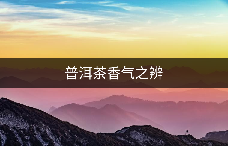 普洱茶香氣之辨 普洱茶香氣之辨