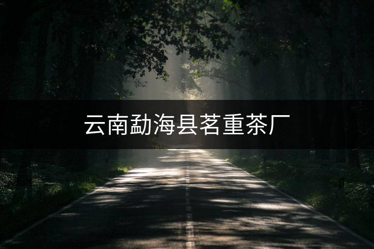 云南勐?？h茗重茶廠