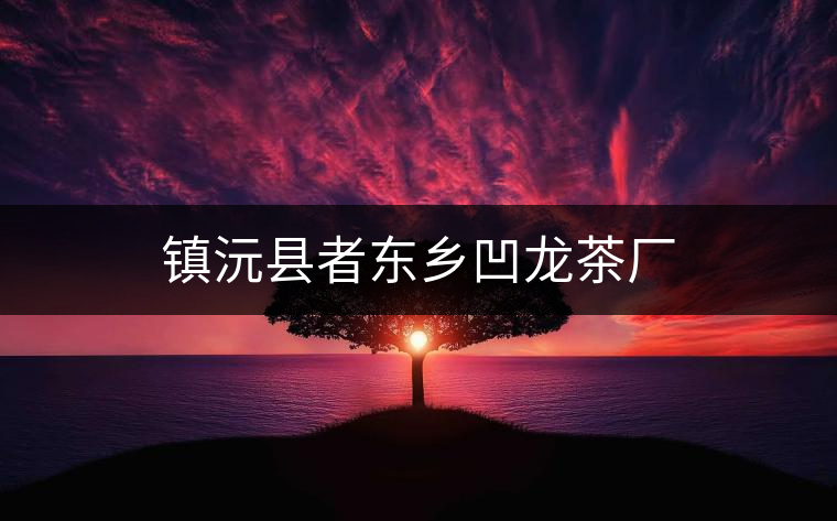 鎮(zhèn)沅縣者東鄉(xiāng)凹龍茶廠