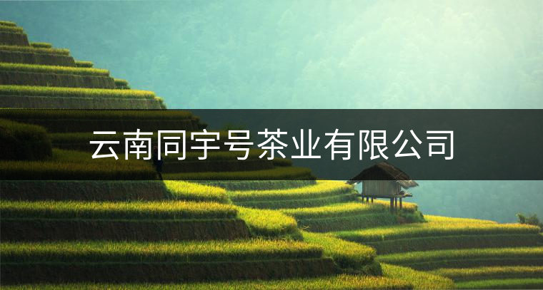 云南同宇號茶業(yè)有限公司 云南同宇號茶業(yè)有限公司