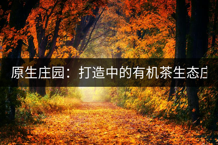 原生莊園：打造中的有機(jī)茶生態(tài)莊園（一）