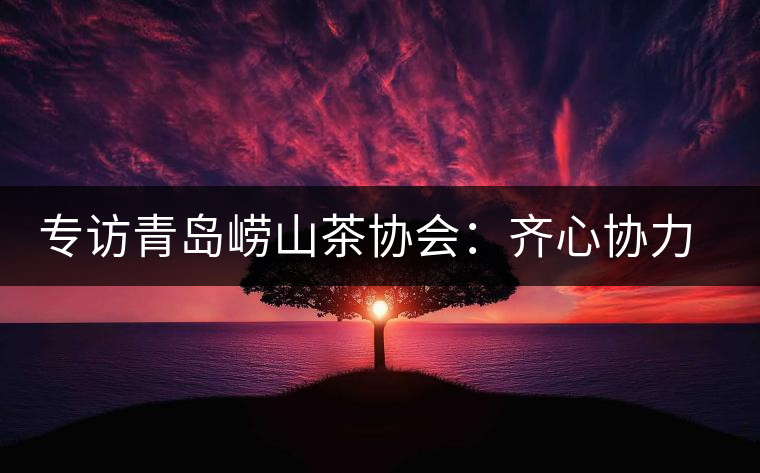 專訪青島嶗山茶協(xié)會：齊心協(xié)力共謀茶壇盛事