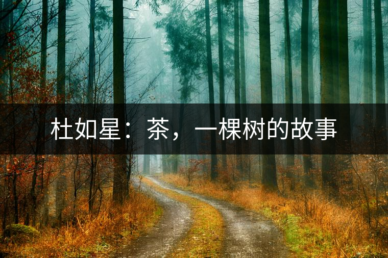 杜如星：茶，一棵樹的故事