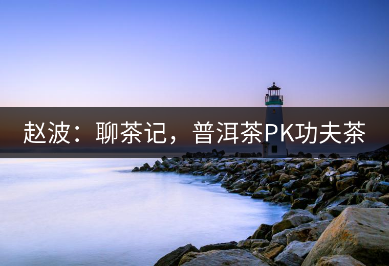 趙波：聊茶記，普洱茶PK功夫茶