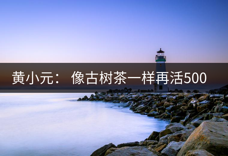 黃小元： 像古樹茶一樣再活500年