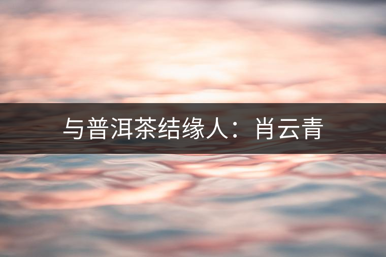 與普洱茶結(jié)緣人：肖云青