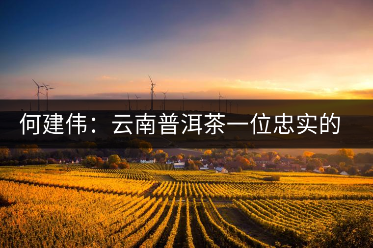 何建偉：云南普洱茶一位忠實的吶喊者