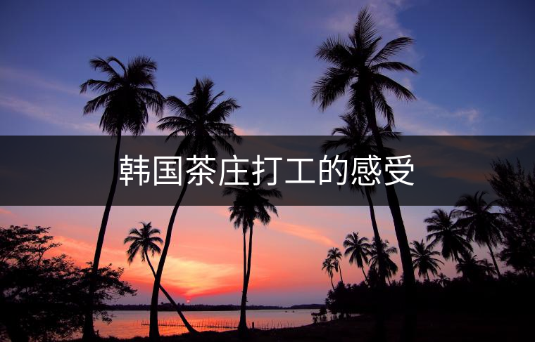 韓國茶莊打工的感受