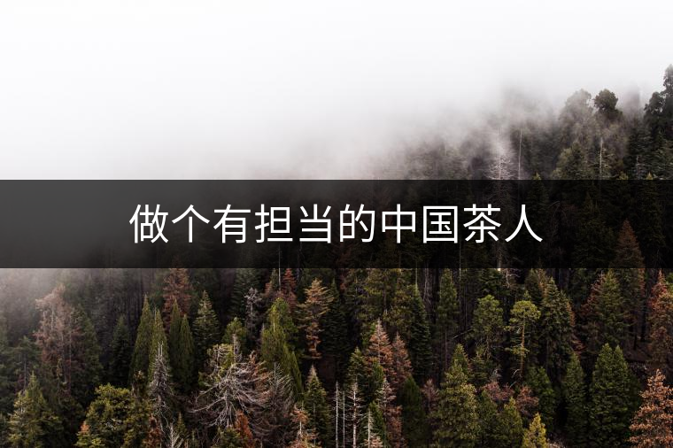 做個(gè)有擔(dān)當(dāng)?shù)闹袊?guó)茶人 做個(gè)有擔(dān)當(dāng)?shù)闹袊?guó)茶人