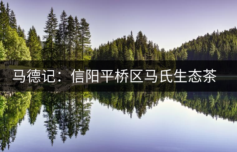 馬德記:信陽(yáng)平橋區(qū)馬氏生態(tài)茶葉合作社負(fù)責(zé)人 馬德記:信陽(yáng)平橋區(qū)馬氏生態(tài)茶葉合作社負(fù)責(zé)人