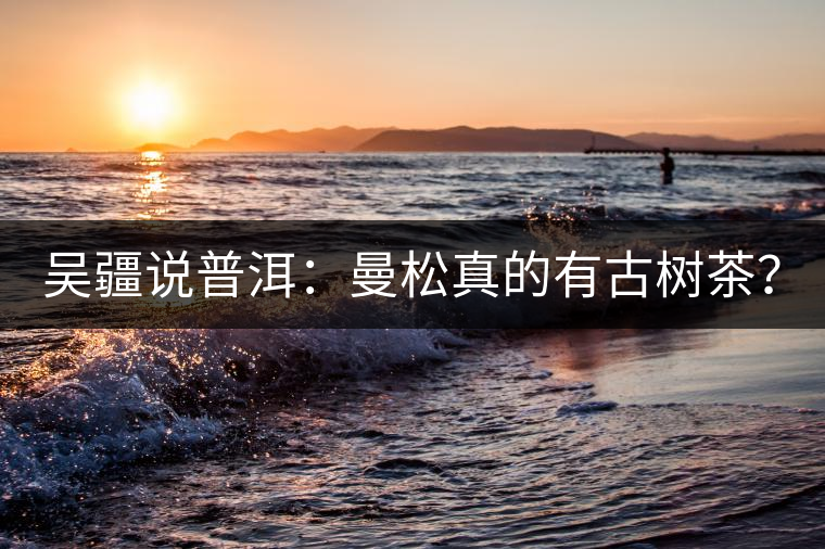 吳疆說普洱：曼松真的有古樹茶？