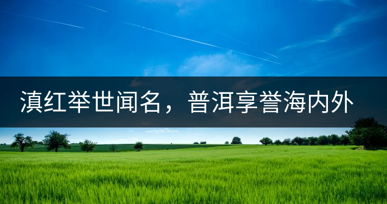 滇紅舉世聞名，普洱享譽海內外丨專家座談——虞富蓮