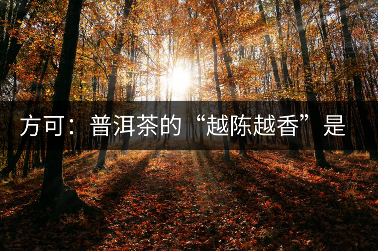 方可：普洱茶的“越陳越香”是有條件、有技術(shù)的