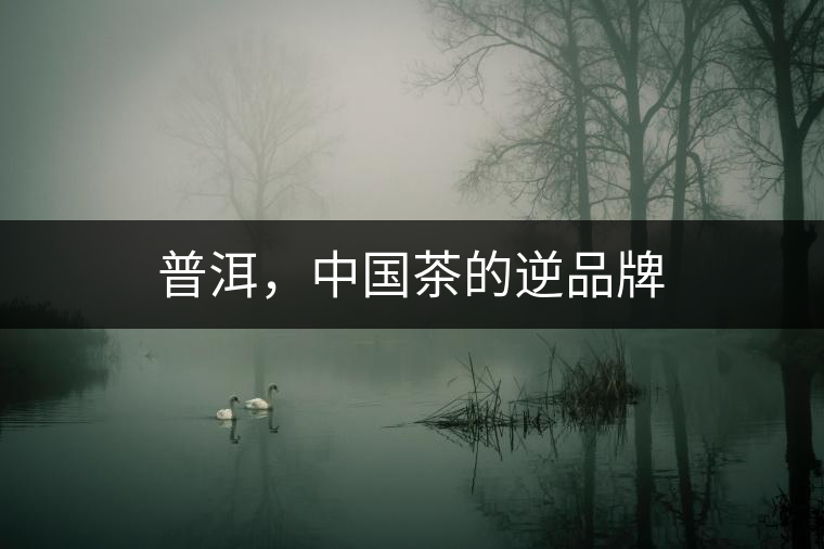 普洱，中國(guó)茶的逆品牌