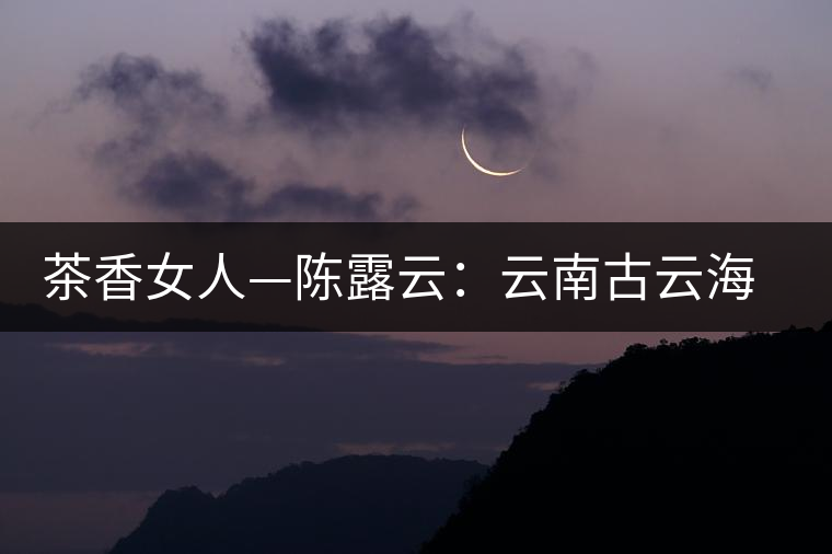 茶香女人—陳露云：云南古云海茶行總經理