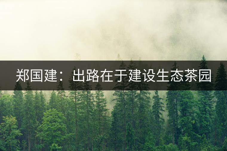 鄭國(guó)建：出路在于建設(shè)生態(tài)茶園