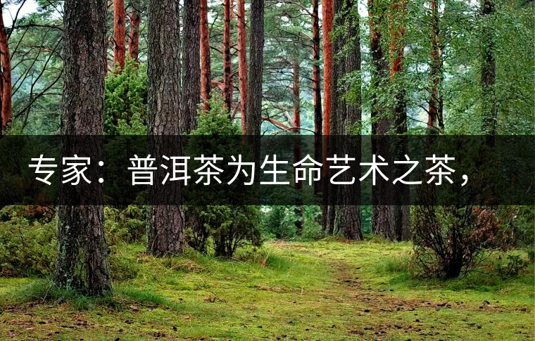 專(zhuān)家：普洱茶為生命藝術(shù)之茶，現(xiàn)低價(jià)時(shí)期可投資收茶