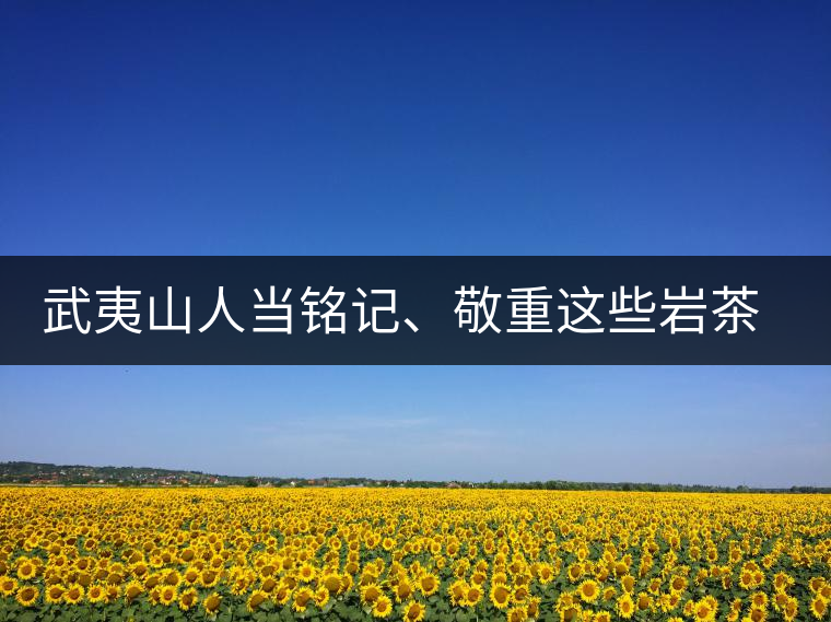 武夷山人當銘記、敬重這些巖茶功臣