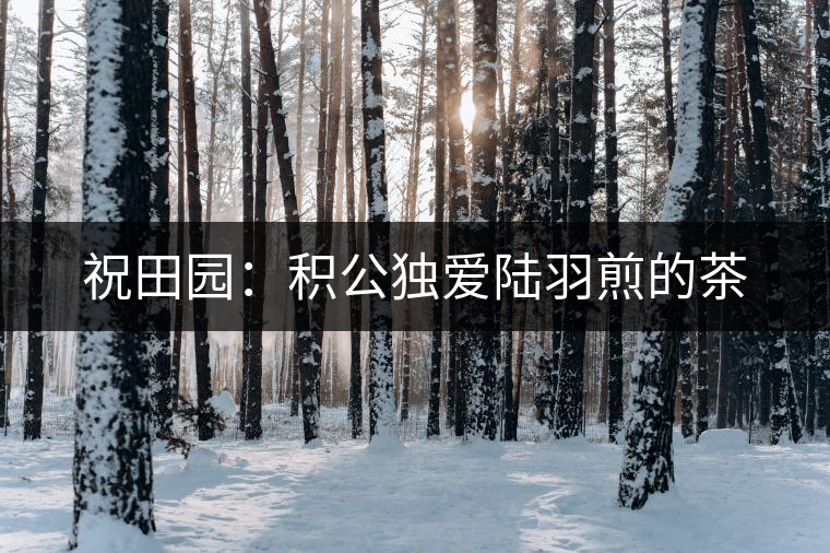 祝田園：積公獨愛陸羽煎的茶