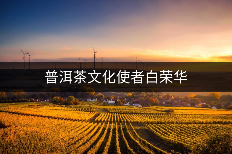 普洱茶文化使者白榮華 普洱茶文化使者白榮華