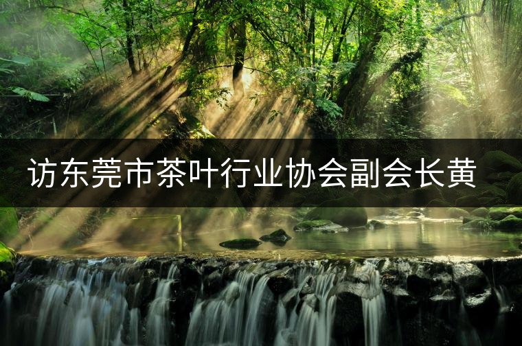 訪東莞市茶葉行業(yè)協(xié)會(huì)副會(huì)長(zhǎng)黃志芳 訪東莞市茶葉行業(yè)協(xié)會(huì)副會(huì)長(zhǎng)黃志芳