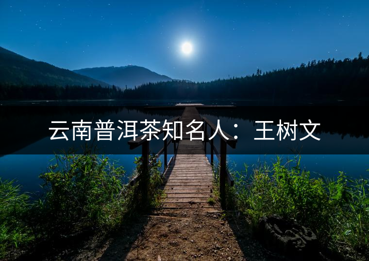 云南普洱茶知名人：王樹(shù)文