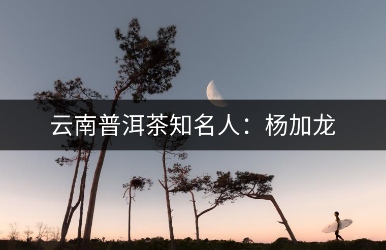 云南普洱茶知名人:楊加龍 云南普洱茶知名人:楊加龍