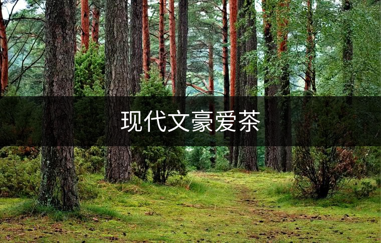 現(xiàn)代文豪愛茶 現(xiàn)代文豪愛茶