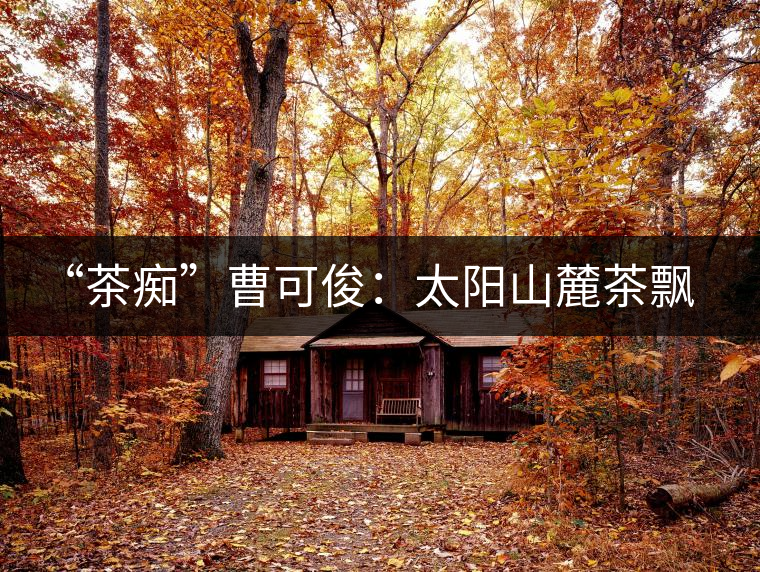 “茶癡”曹可俊：太陽(yáng)山麓茶飄香，清明時(shí)節(jié)采茶忙