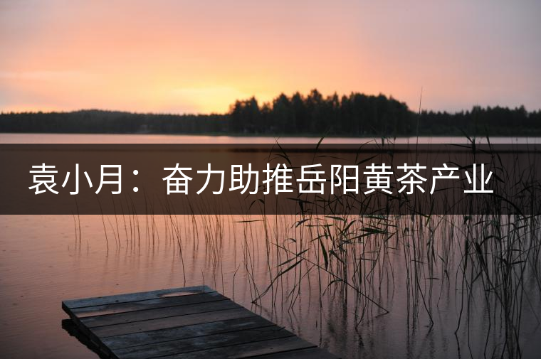 袁小月：奮力助推岳陽(yáng)黃茶產(chǎn)業(yè)發(fā)展