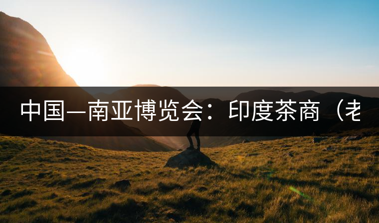 中國—南亞博覽會：印度茶商（老羅）暢談茶葉生意經(jīng)(圖)