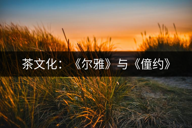 茶文化：《爾雅》與《僮約》