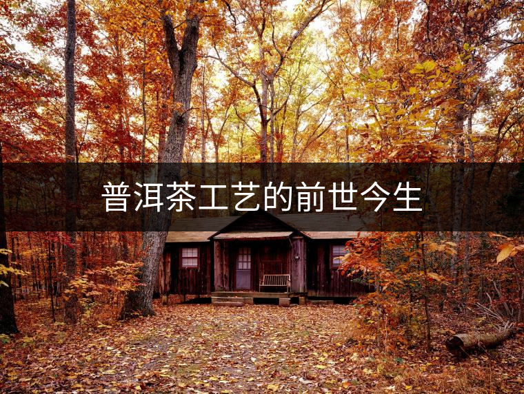 普洱茶工藝的前世今生 普洱茶工藝的前世今生