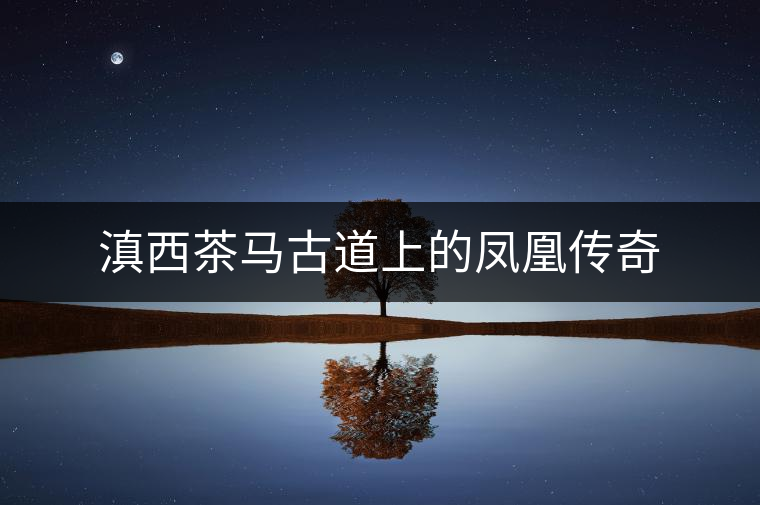 滇西茶馬古道上的鳳凰傳奇 滇西茶馬古道上的鳳凰傳奇