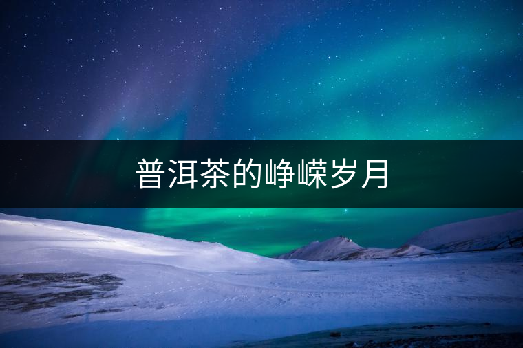 普洱茶的崢嶸歲月 普洱茶的崢嶸歲月