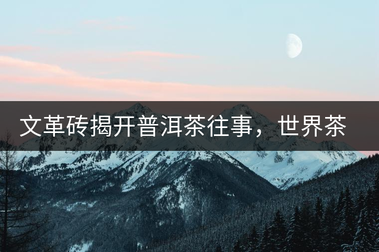 文革磚揭開普洱茶往事，世界茶文化交流協(xié)會(huì)成員共品經(jīng)典文革磚！
