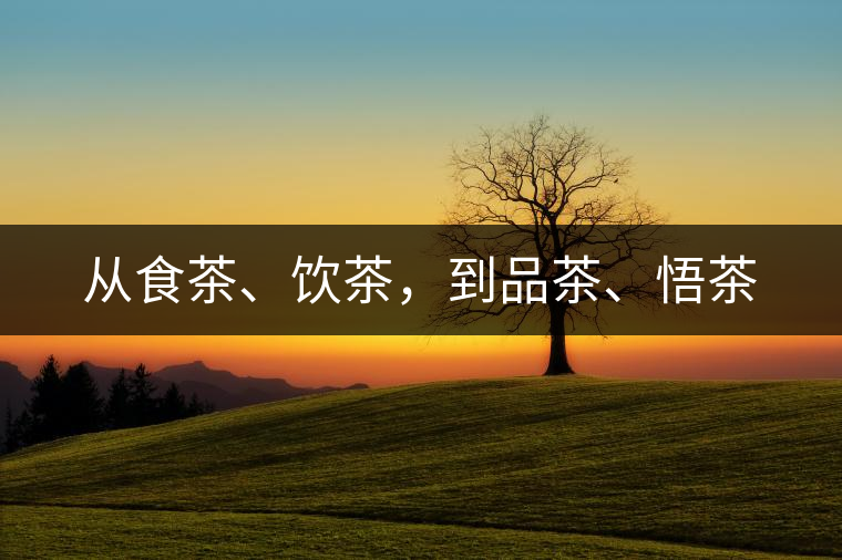 從食茶、飲茶，到品茶、悟茶