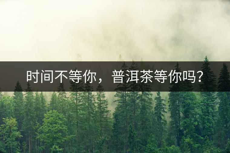 時(shí)間不等你，普洱茶等你嗎？