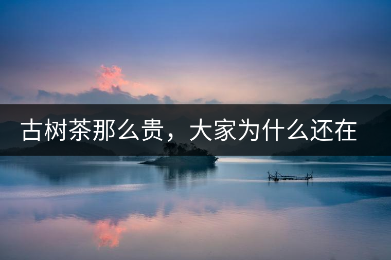 古樹茶那么貴，大家為什么還在瘋狂追求？