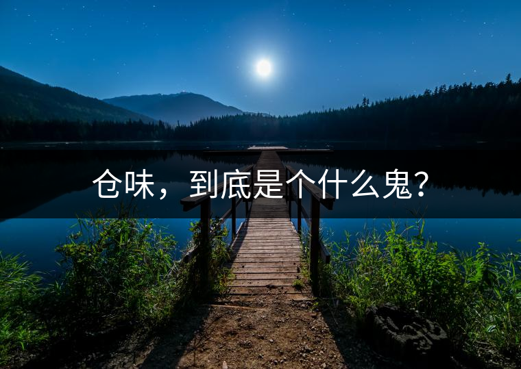 倉味，到底是個什么鬼？