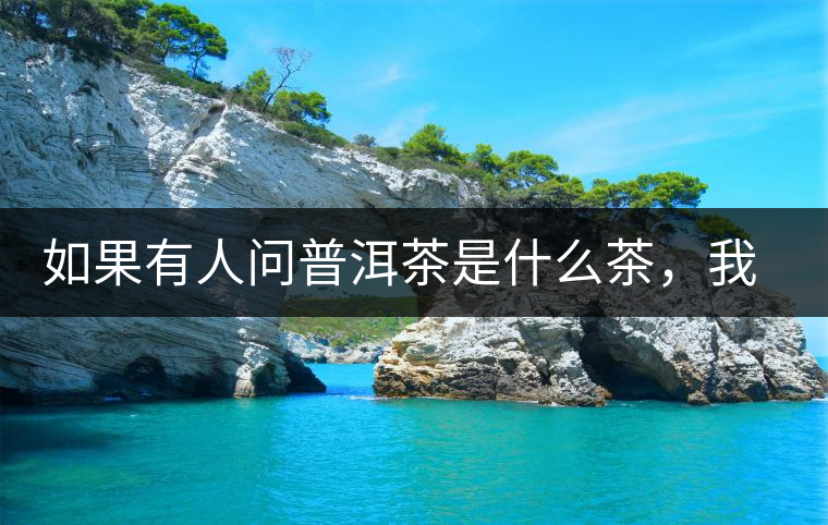 如果有人問普洱茶是什么茶，我就請(qǐng)他看這個(gè)段子