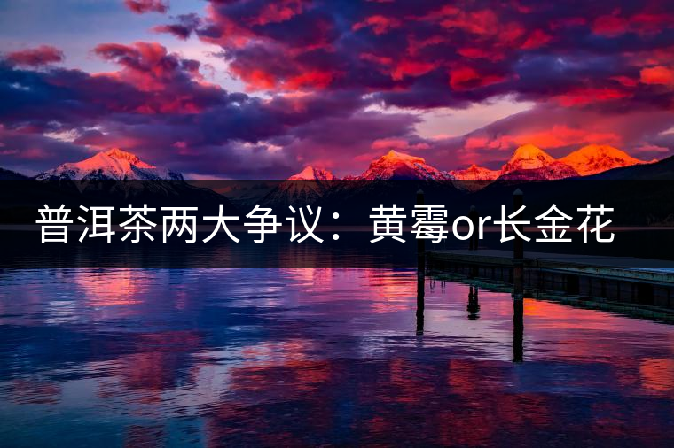 普洱茶兩大爭議：黃霉or長金花，生蟲or蟲屎茶